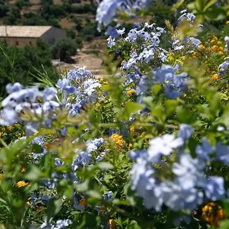 Le Dimore Di Cavalonga 別荘