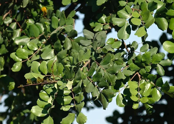 Le Dimore Di Cavalonga Ferienhaus Ragusa