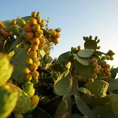 Le Dimore Di Cavalonga