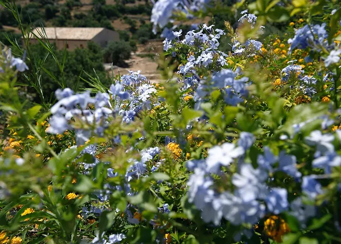 Le Dimore Di Cavalonga 別荘